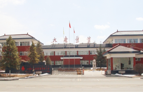 內(nèi)蒙古大唐藥業(yè)