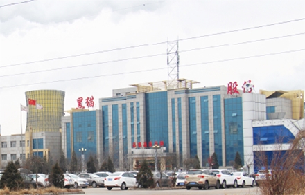 黑貓?zhí)亢谟邢薰景l(fā)電項(xiàng)目